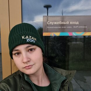 Дзен Заметки зоотехника  статистика