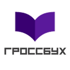 Статистика Дзен Гроссбух: бухгалтер вашего таксопарка