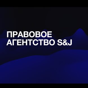Статистика Дзен Правовое агентство "S&J"