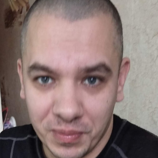 Статистика Дзен Дневник