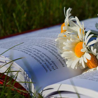 Статистика Дзен Почитаешь и Узнаешь 📖🌟