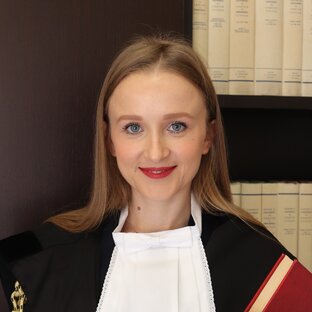 Статистика Дзен Согласно законам Италии