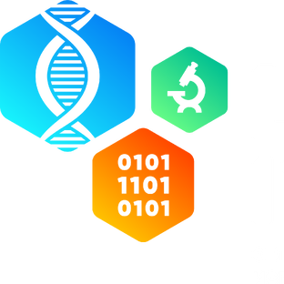 Статистика Дзен lims