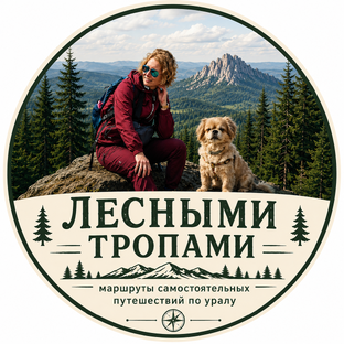 Статистика Дзен Лесными тропами|Самостоятельные путешествия