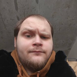 Статистика Дзен Финансовый ежедневник 365