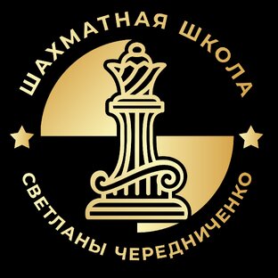 Статистика Дзен Шахматная школа Светланы Чередниченко