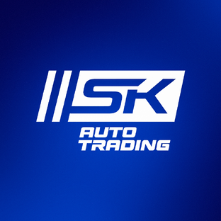 Статистика Дзен SK AUTO TRADING