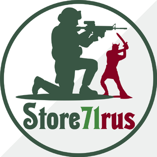 Статистика Дзен Store71rus - Магазин Солдатиков