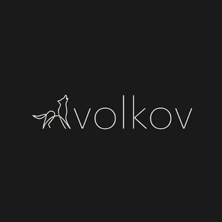 Статистика Дзен Volkov.Brand