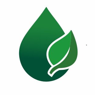 Статистика Дзен НЕО ЛАЙФ - Биопродукты на основе живой хлореллы