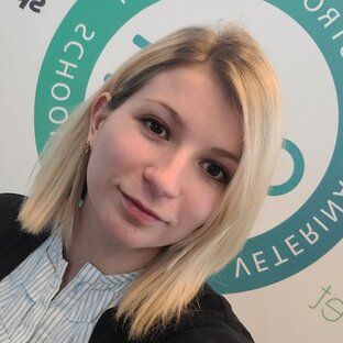 Статистика Дзен Ветеринарный гастроэнтеролог Кокоша Татьяна