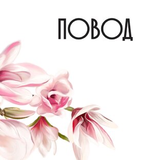 Статистика Дзен ПОВОД