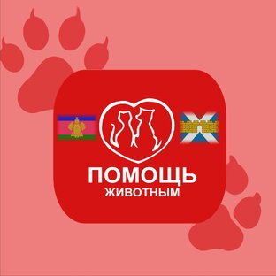 Статистика Дзен "Добра Питомцам" Волонтерское сообщество г. Крымск Краснодарский край