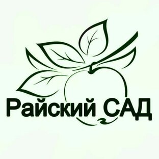 Статистика Дзен Райский САД в Сибири