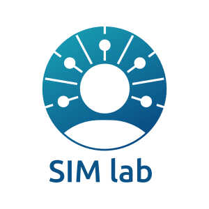Статистика Дзен SIM lab.