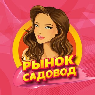 Дзен РЫНОК САДОВОД статистика
