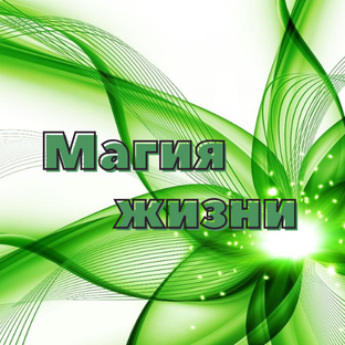 Статистика Дзен Магия жизни