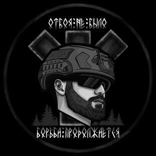 Статистика Дзен Граф 106
