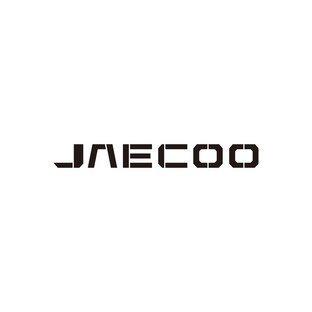 Статистика Дзен JAECOO Россия