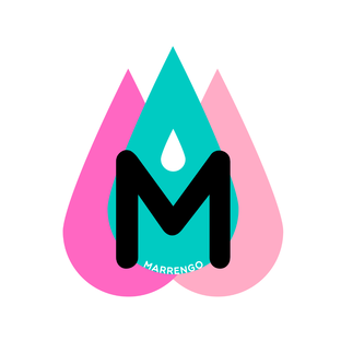 Статистика Дзен MARRENGO