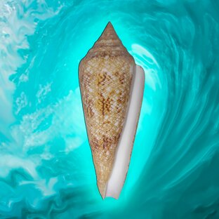 Статистика Дзен Первый конхиологический 🌊🐚🐚🐚 на Дзене ☯️