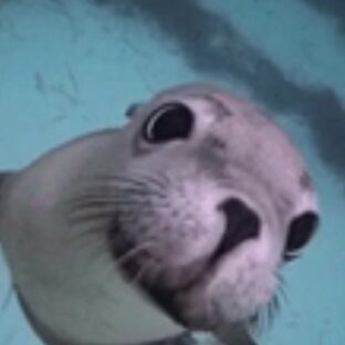 Дзен То,что я люблю статистика