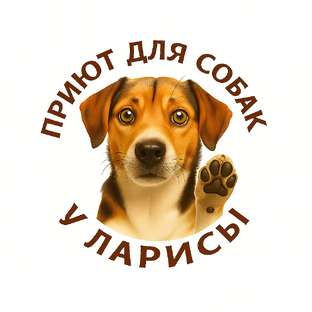 Статистика Дзен Приют У Ларисы Клин