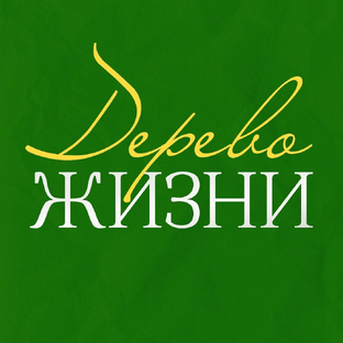 Статистика Дзен Бесплатная психологическая помощь «Дерево Жизни»