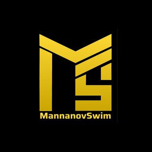 Статистика Дзен MannanovSwim