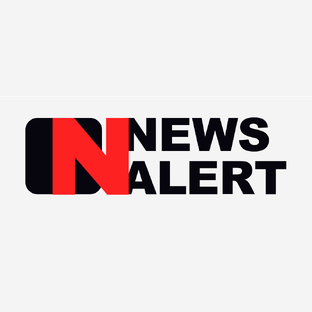 Статистика Дзен NewsAlert