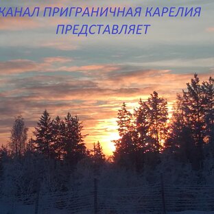 Статистика Дзен Prygranichnay Karelia