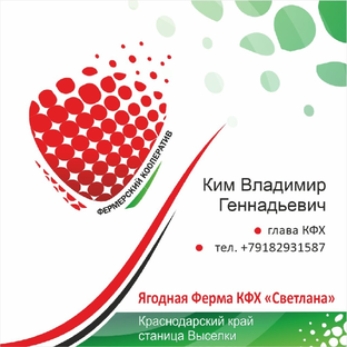 Статистика Дзен Про-ягоду
