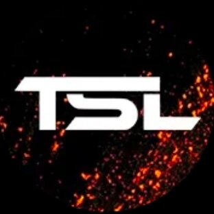 Статистика Дзен Оборудование для порошковых красок TSL