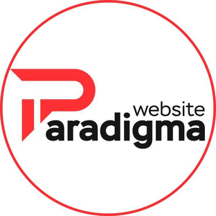 Статистика Дзен Paradigma.website
