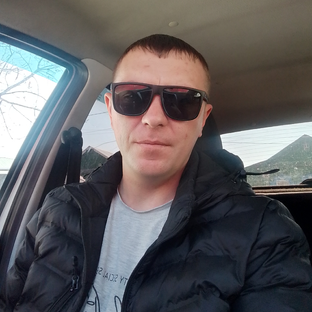 Статистика Дзен Александр Сапрыкин