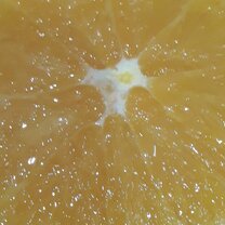 апельсин супермаркет туймазы. торговый апельсин. тц апельсин воскресенск. магазин апельсин орел. торговый апельсин.