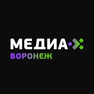 Статистика Дзен Медиа-Х Воронеж