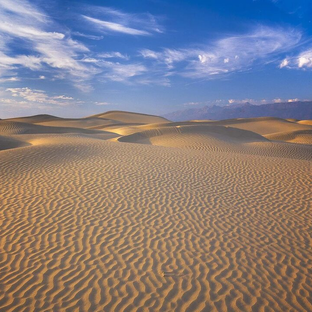 Дзен Flip Eastern статистика