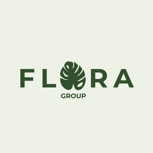 Статистика Дзен FLORA GROUP