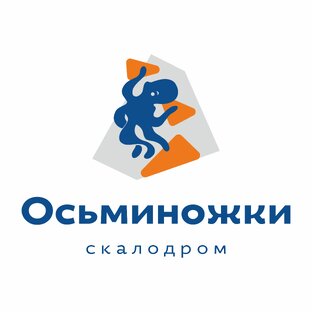 Статистика Дзен Скалодром Осьминожки | Франшиза 
