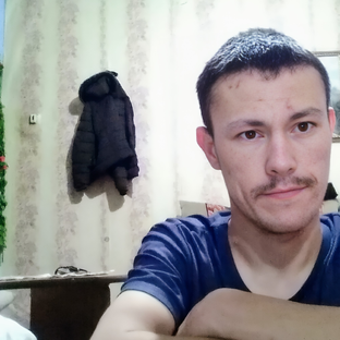 Статистика Дзен Тима ДЦП 