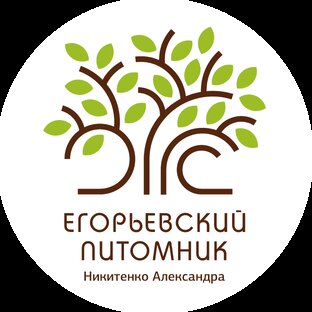 Статистика Дзен Егорьевский питомник Никитенко Александра
