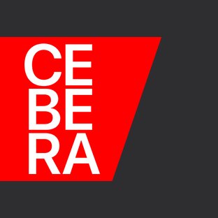 Статистика Дзен CEBERA