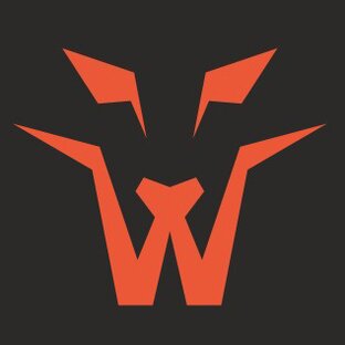 Статистика Дзен ТМ WERWOLF