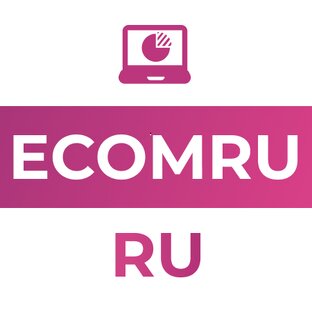 Статистика Дзен Ecomru.ru