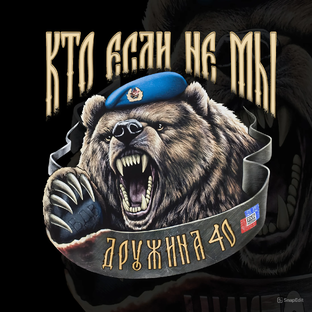 Статистика Дзен Дружина и ММА Калужской области