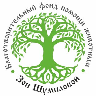 Статистика Дзен Благотворительный Фонд Зои Шумиловой