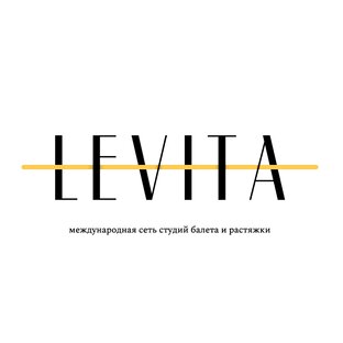 Статистика Дзен Сеть студий балета и растяжки LEVITA