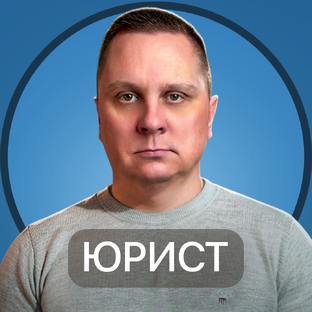 Статистика Дзен Юрист Максим Ягодин