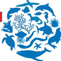 Впр по биологии 5 класс с ответами. Задания впр по биологии 6 класс. Впр по биологии 5 класс задания 2. Впр биология 8 класс вариант 1 ответы. Впр биология 7 класс 2021 с ответами 1 вариант.